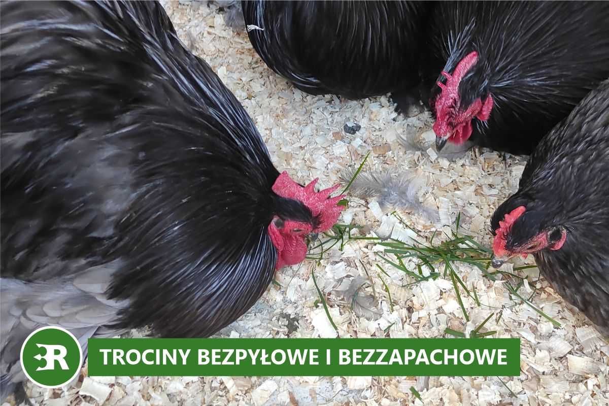 Odpylone, bezzapachowe trociny dla drobiu - 15 kg, 550 litrów