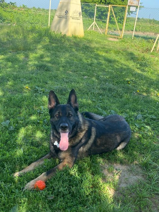 Шукаємо дівчинку для в’язки