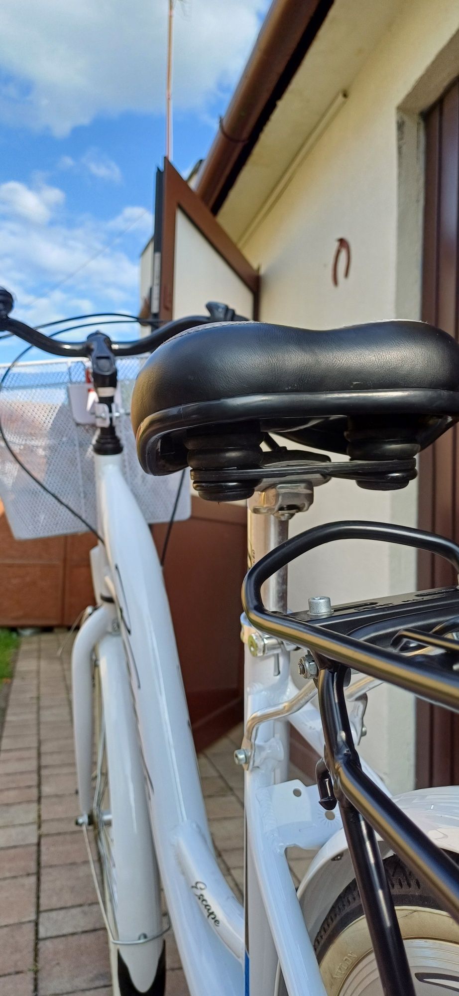 Rower damka kola 26