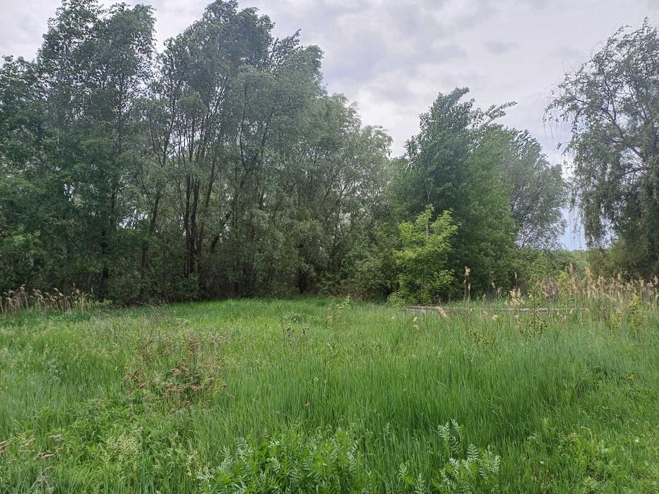 GA S4 Продам ділянку 50сот з озером, Хар.обл, смт Високий, с Іржавець.