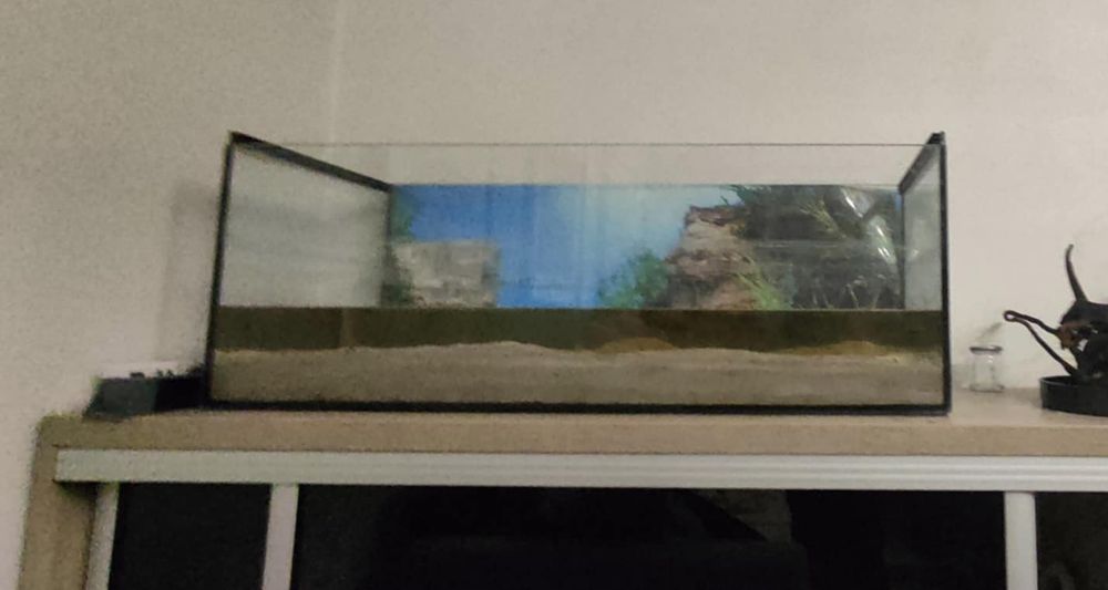 Pilne! Akwarium terrarium 140 litrów