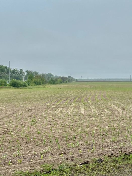 Земельна ділянка 20,17 га! с.Небелиця