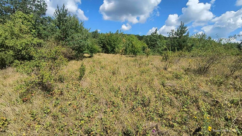 Продаж земельної ділянки на Дністрі Рудківці
