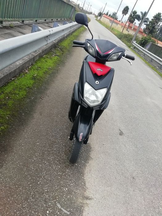 Vendo mota elétrica  goose five