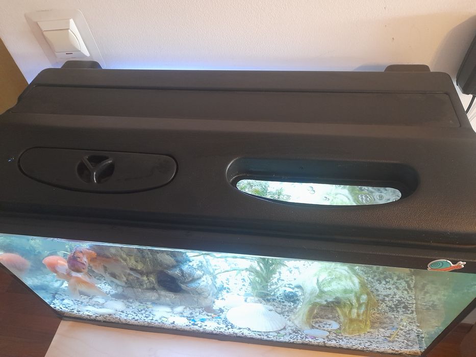 Akwarium z rybkami wymiar 80×34,5