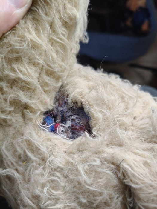 Stary pluszowy miś z okresu PRL