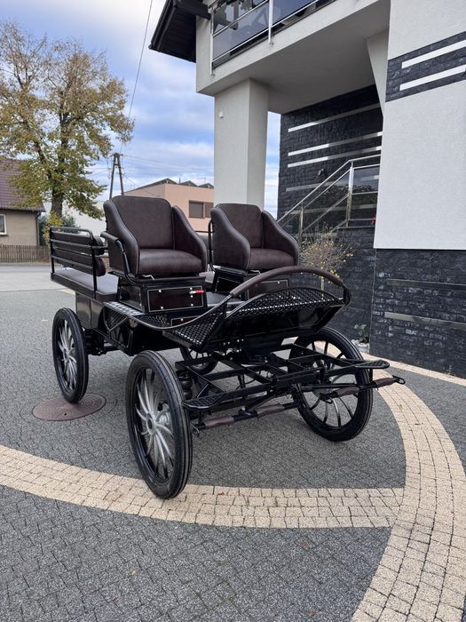 Bryczka konna treningowa powóz wagonetka