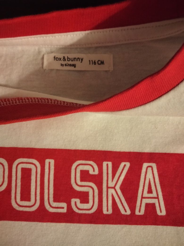 Koszulki. T-shirt. Zestaw 3 sztuk. Rozmiar 110/116.