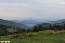 Dz. o pow. 1287m2 lub 2431m2 lub 2577m2, a może o pow. 6295m2