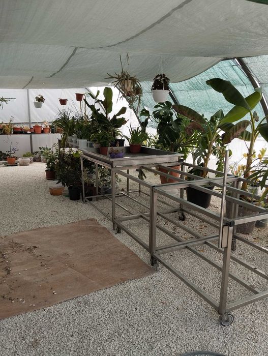 Bancadas expositor de frutas