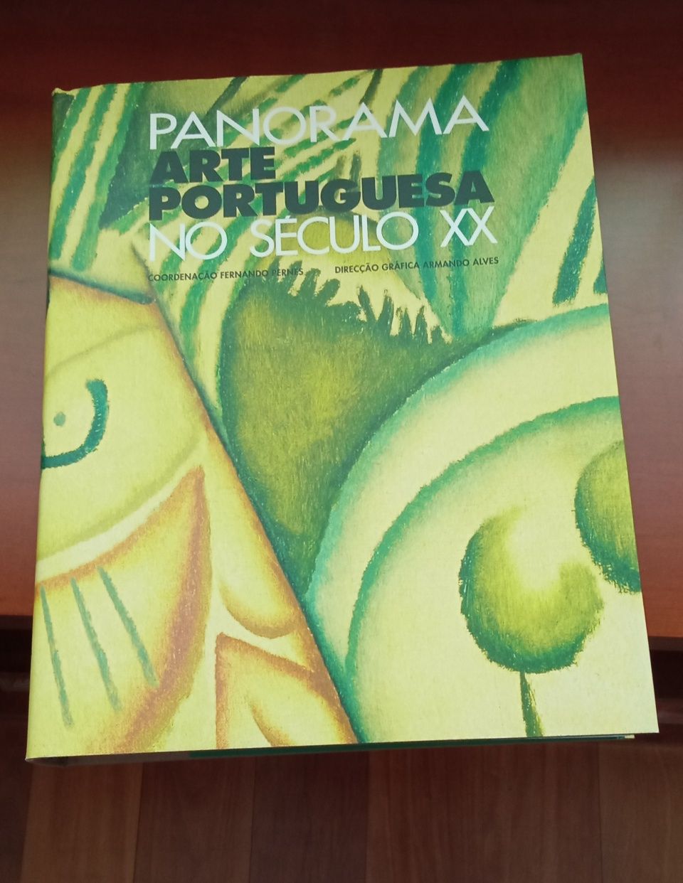 Livro  Panorama Arte Portuguesa no século XX