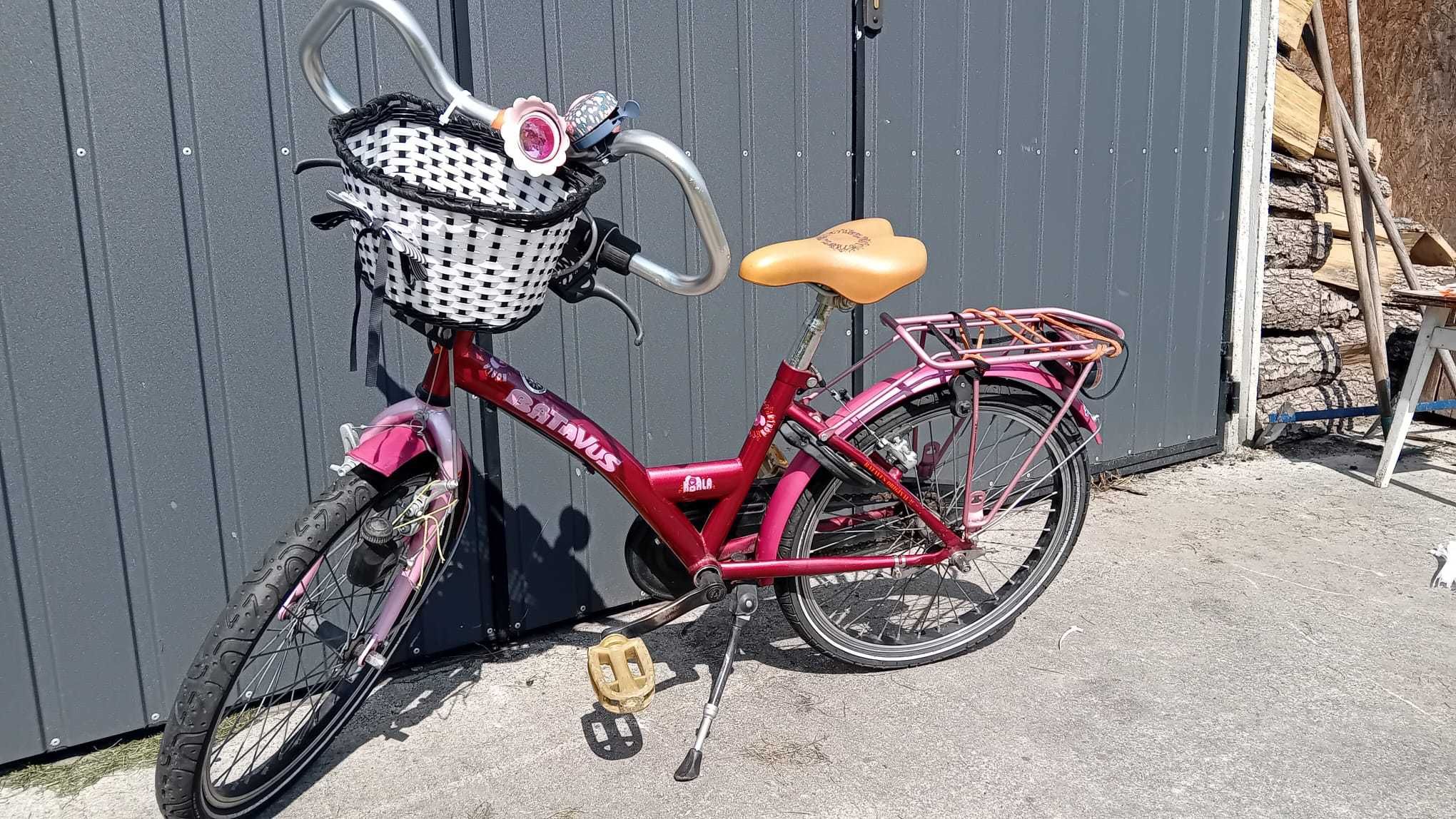 Rower dziecięcy Batavus Koala 20 cali