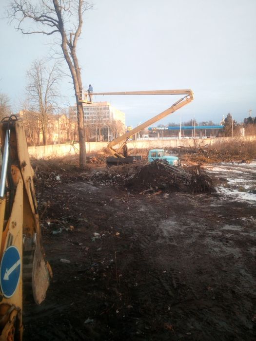 Обрезка деревьев