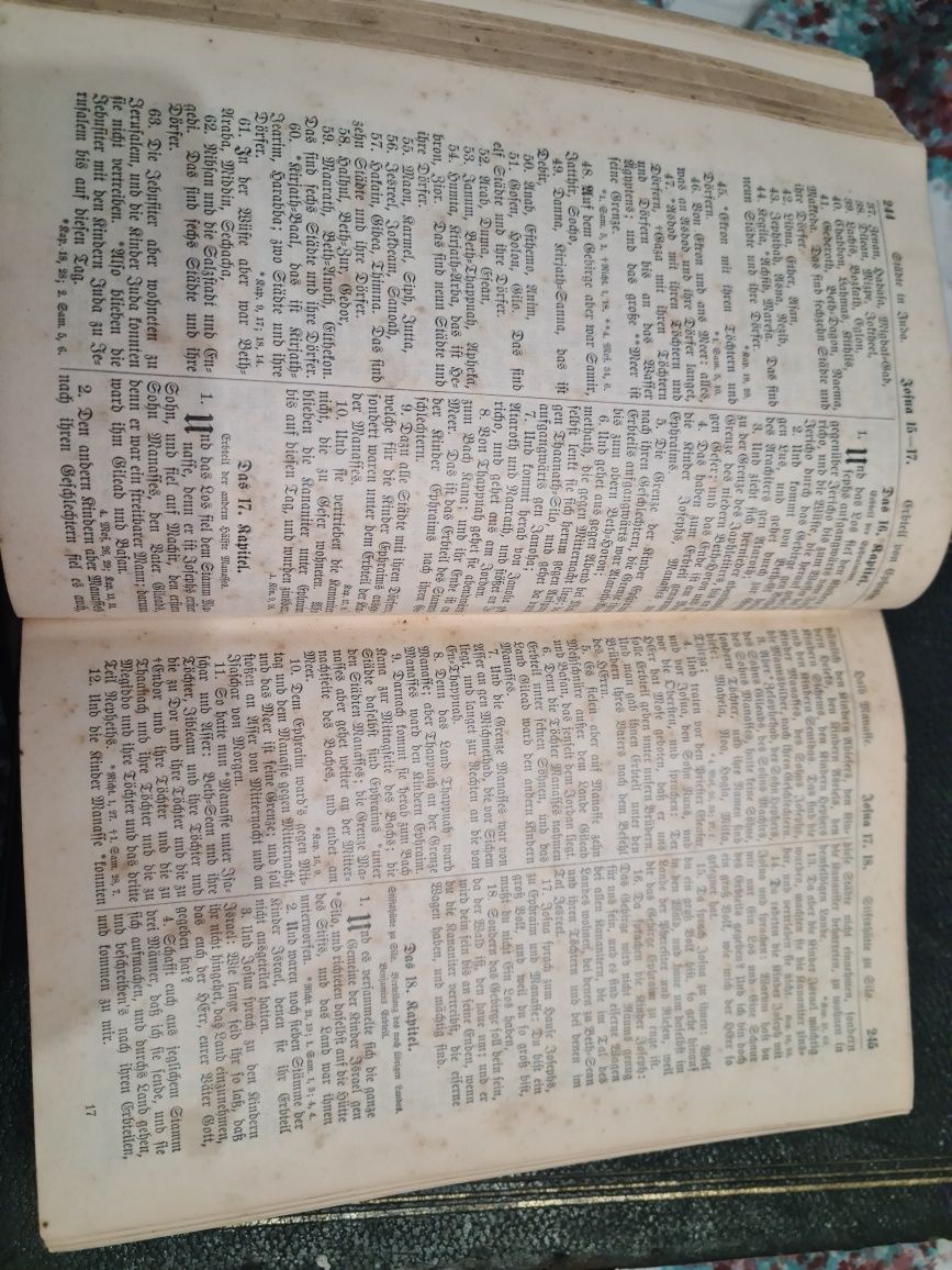 Biblia Niemiecka Beilige Schrift