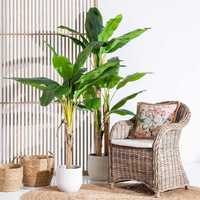 Planta Artificial Bananeira - Natural Feel 150cm By Arcoazul