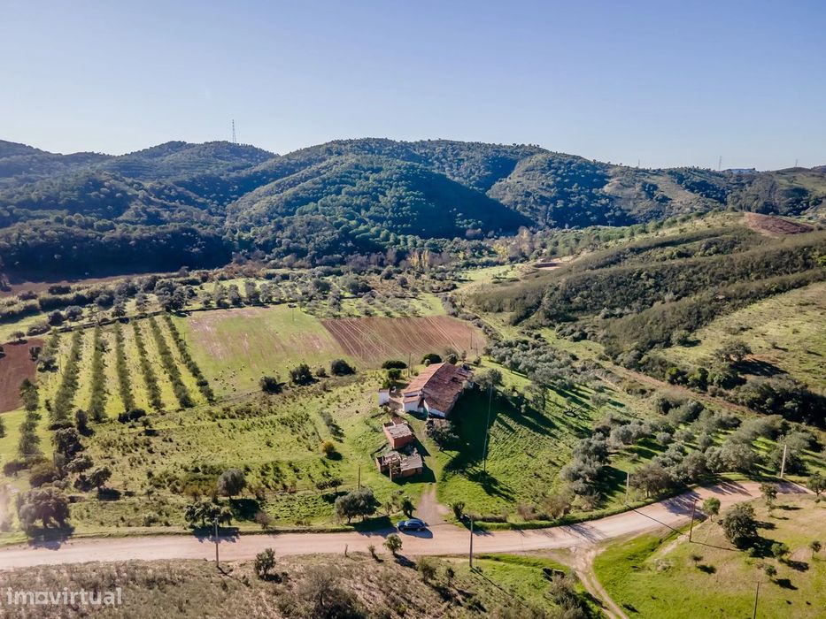 Quinta com moradia para reabilitação, na zona de Messines