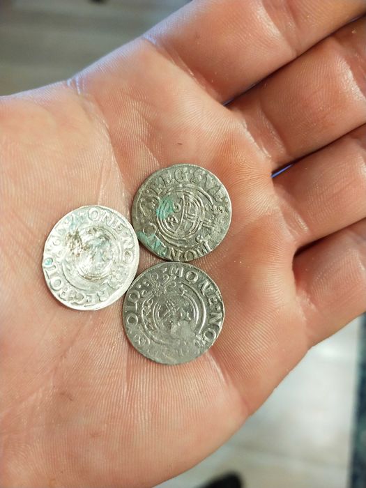 Półtorak Zygmunt III Waza ładny 1621 - 1626 r