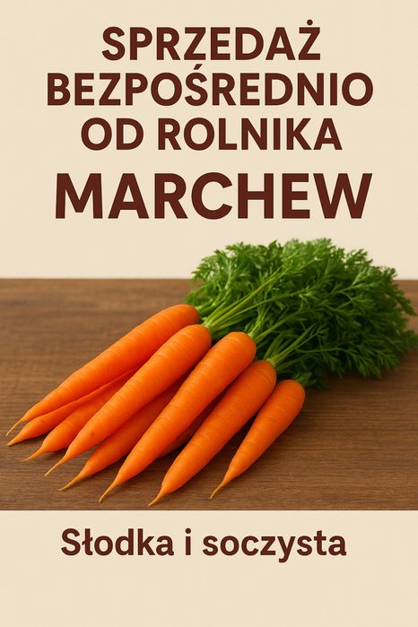 Marchew 5kg-10zł 10kg-18zł