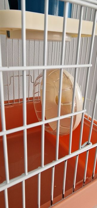 Gaiola para Hamster