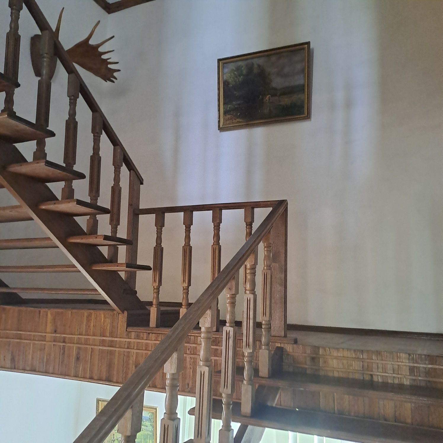 Відпочинок в лісі біля озера Дениші Житомирська область