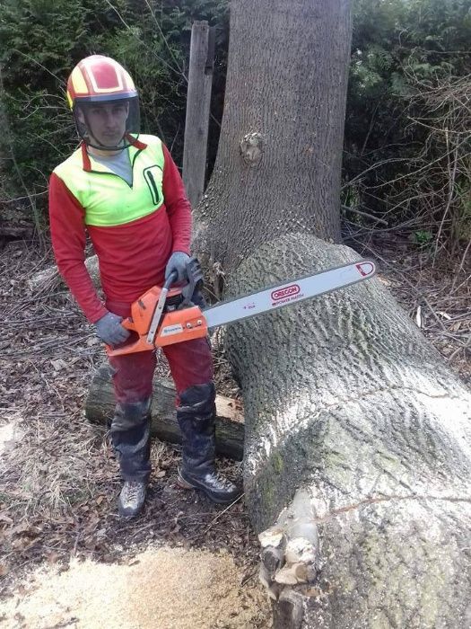 Wycinka drzew, pielęgnacja drzew, czyszczenie działek, usługi rębakiem