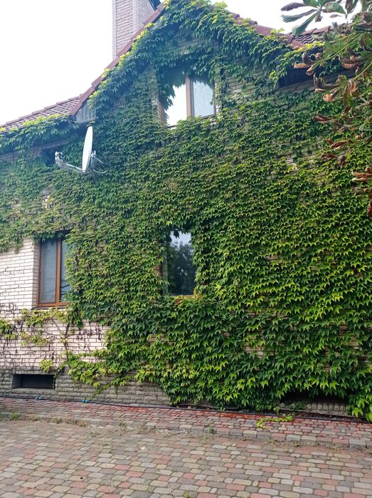 Продам уютный дом в ЦЕНТРЕ ЧЕРНИГОВА.