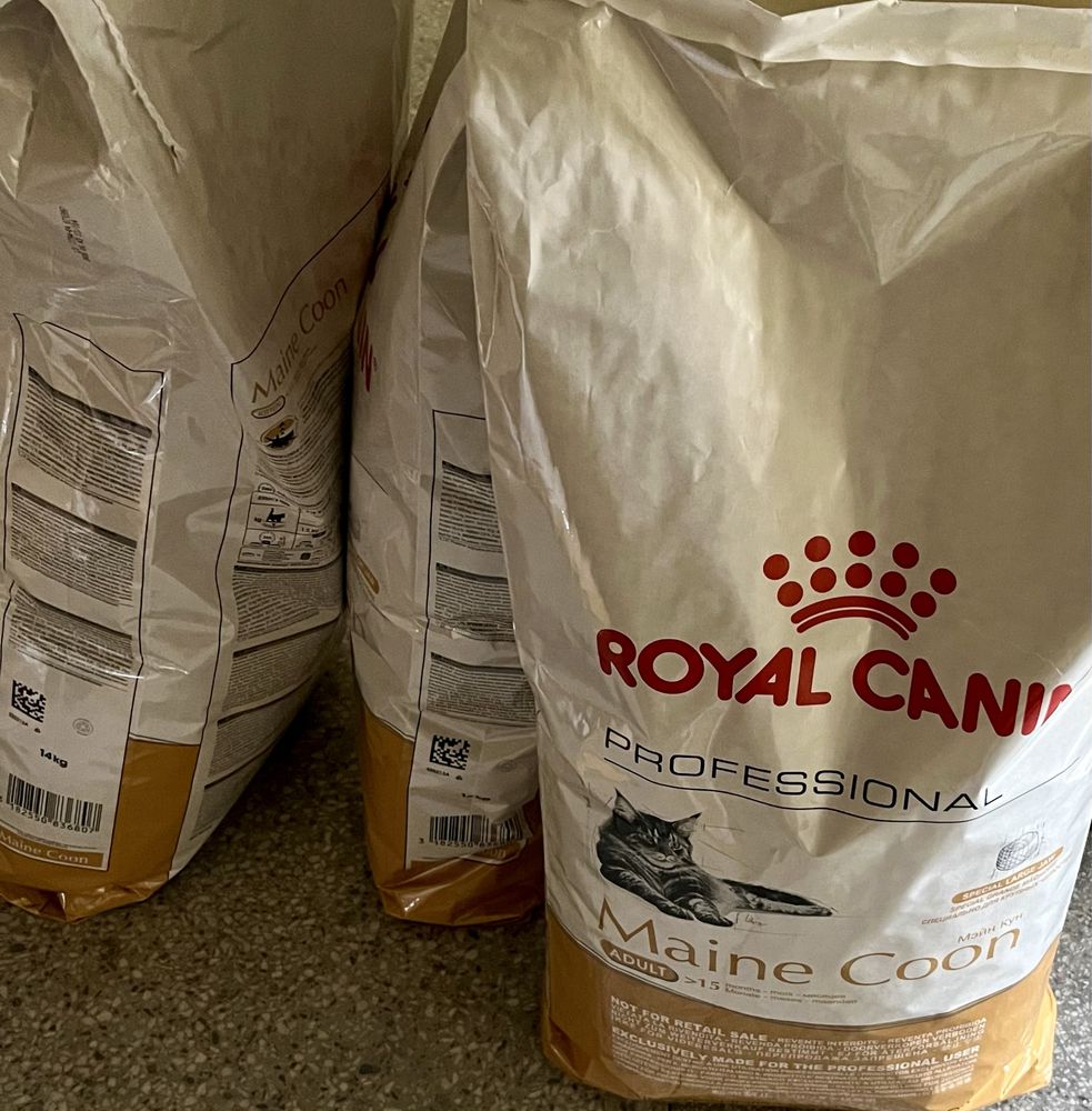 RC Brit, Maine Coon 15kg Worek‼️ Kitten • Adult mix inne ℹ️ RoyalCanin