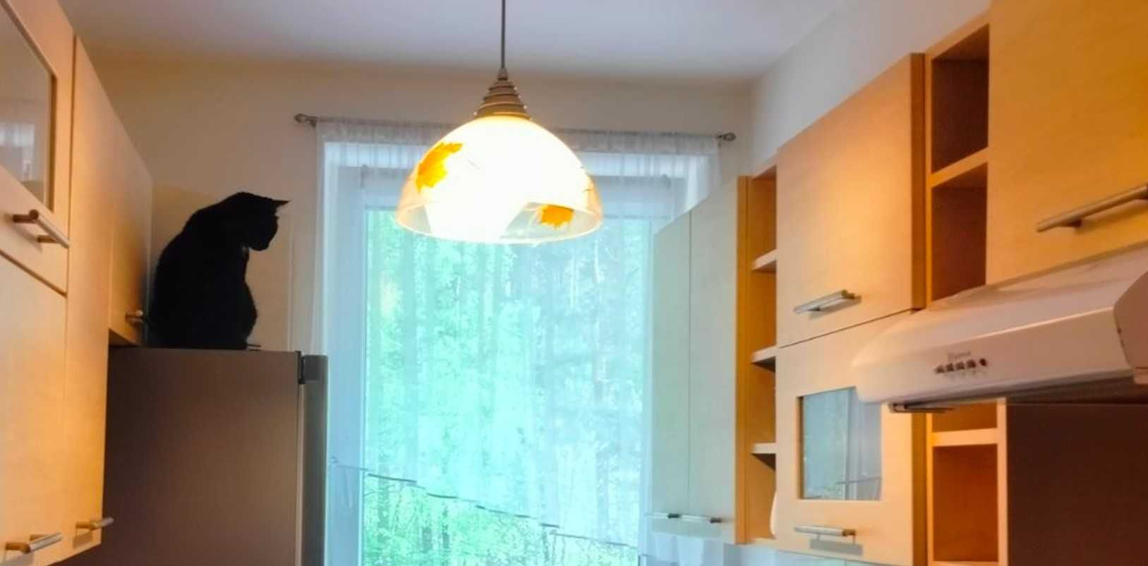 Lampa wisząca do kuchni