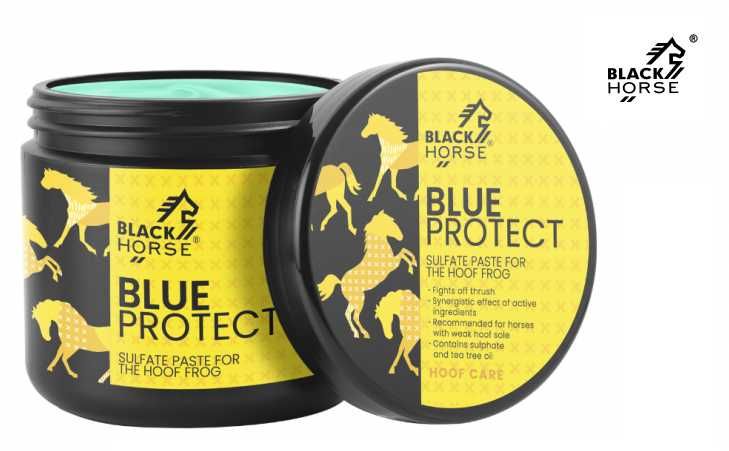 Pasta siarczanowa do strzałek Blue Protect 500 ml Black Horse