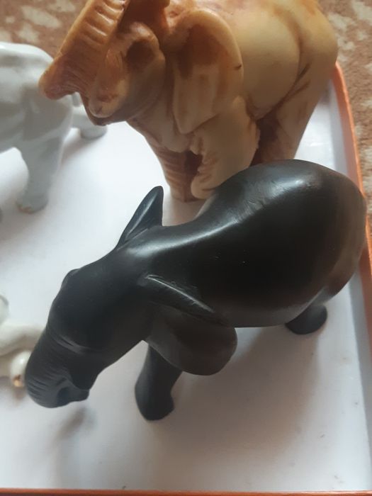 Слон    і  Слони