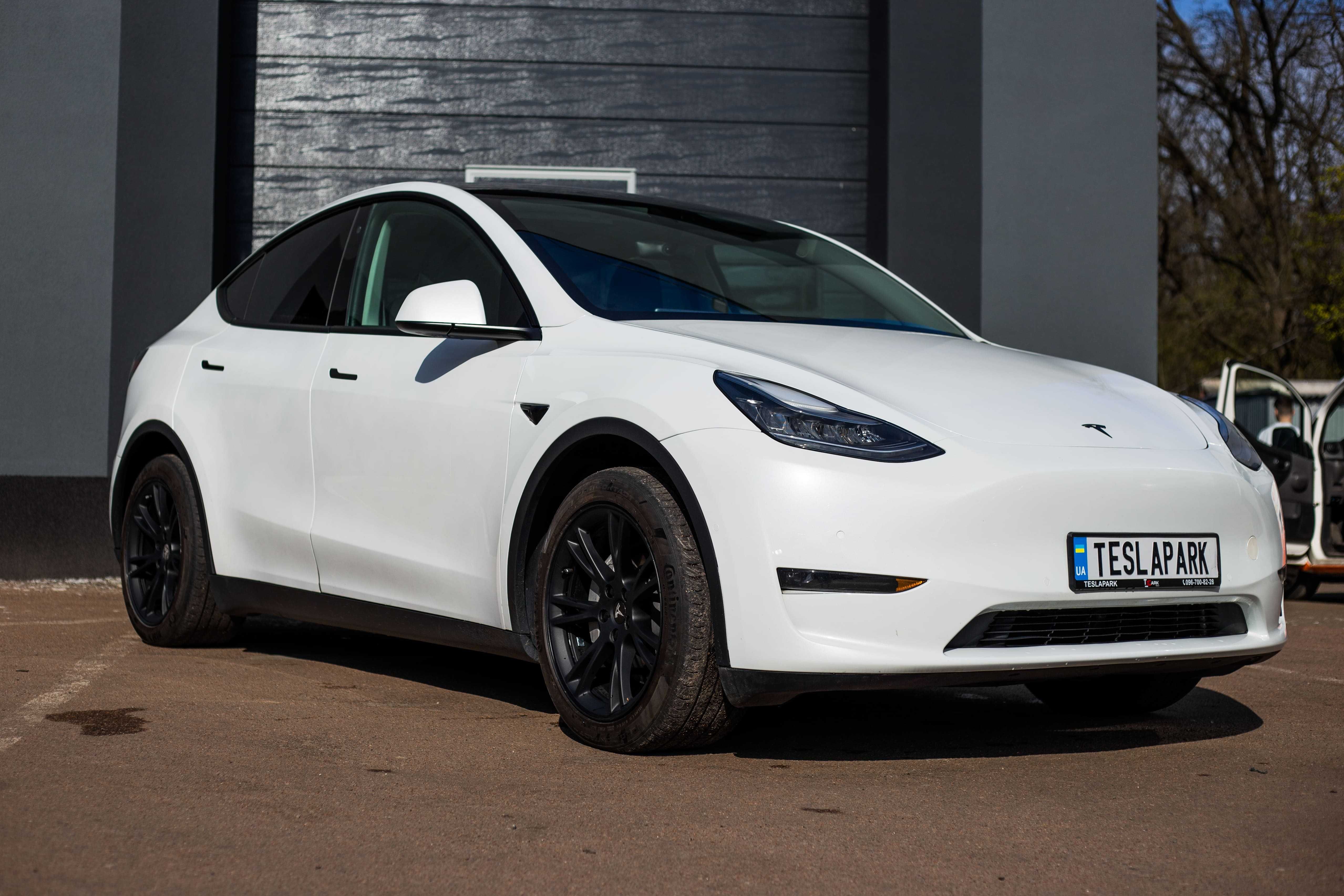 Tesla Model Y Long Range Dual Motor 2020 р.в.