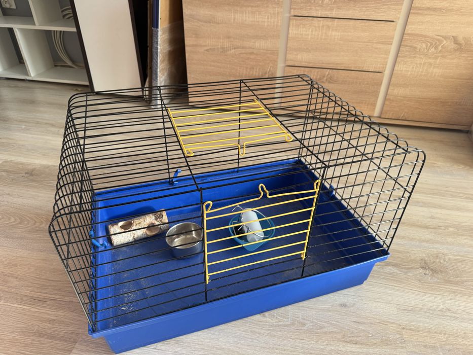 Klatka dla gryzonia z akcesoriami ODDAM ZA DARMO‼️‼️‼️