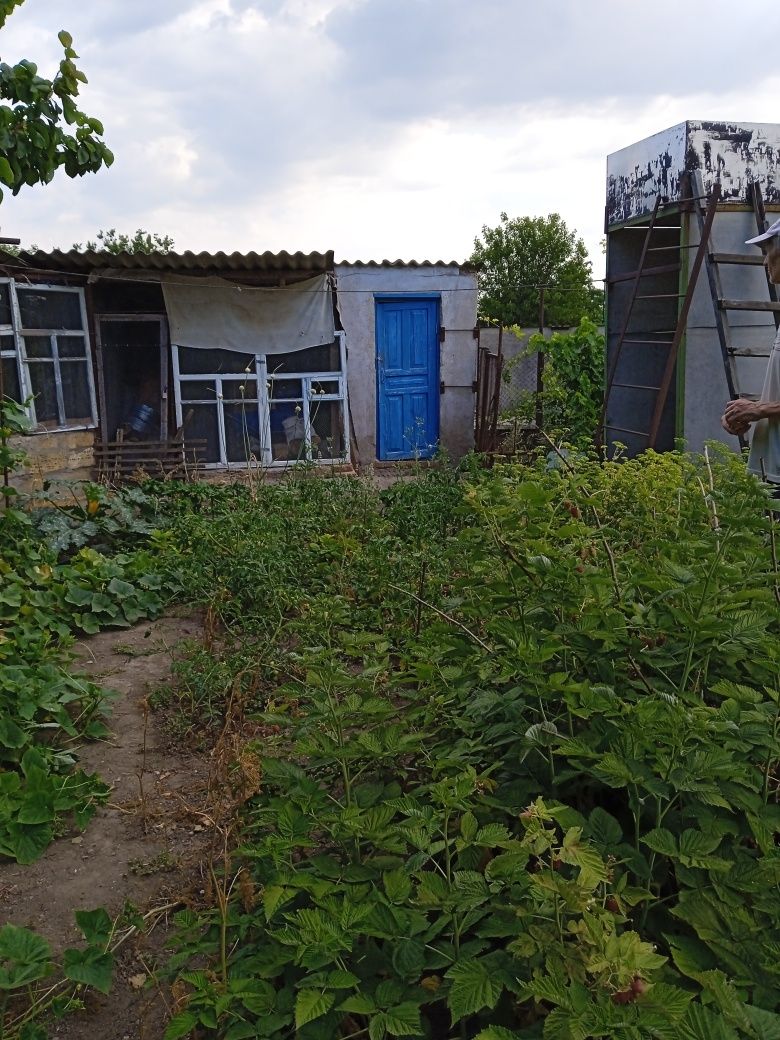 Продаж будинку в с.Привільне, Миколаївська область