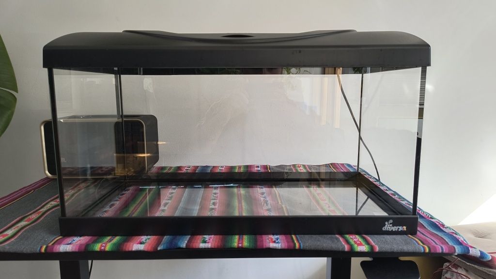 Akwarium diversa 54l 60x30x30