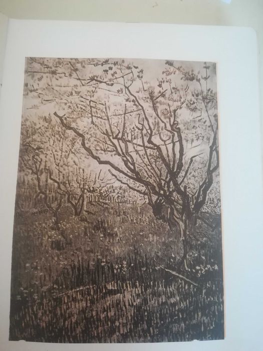 Pasja życia Irving Stone 1954