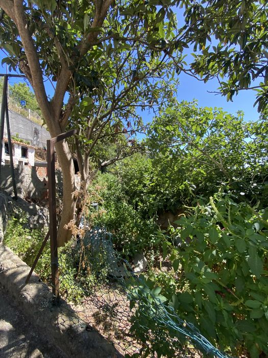 Vivenda T2 + T2 sem licença