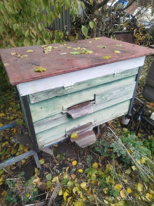 Вулики рамки пасіка