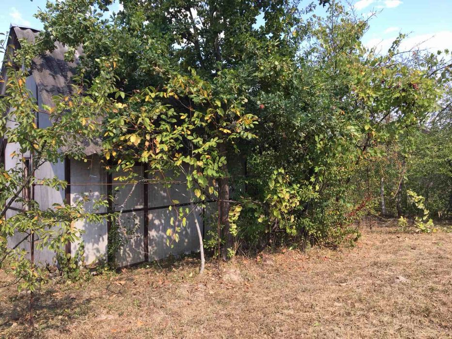 Дача біля лісу у мальовничому селі Павлівка