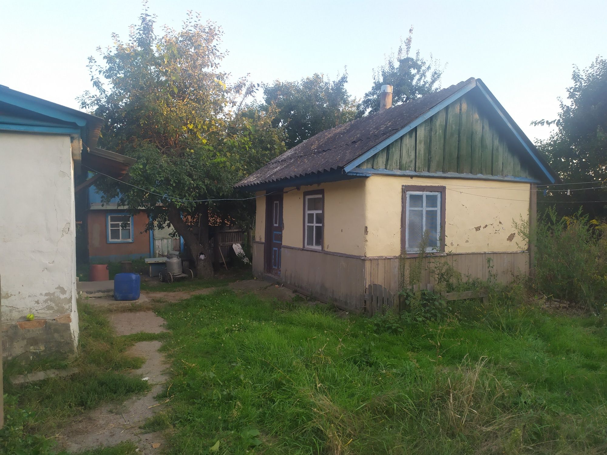Продається будинок в селі Ревне, 46 соток