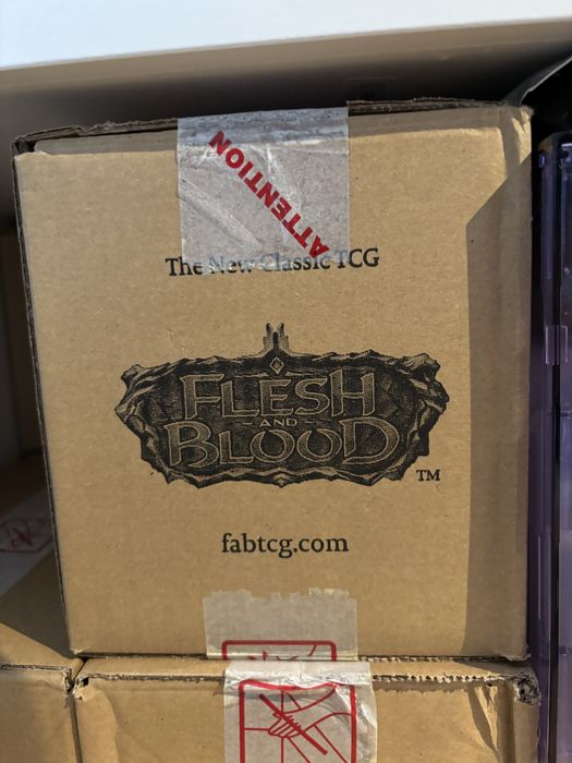 Flesh and Bloood Tales of Aria 1ed Case