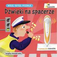 Widzę, słyszę, poznaję. Dźwięki na spacerze - Magdalena Młodnicka, Be