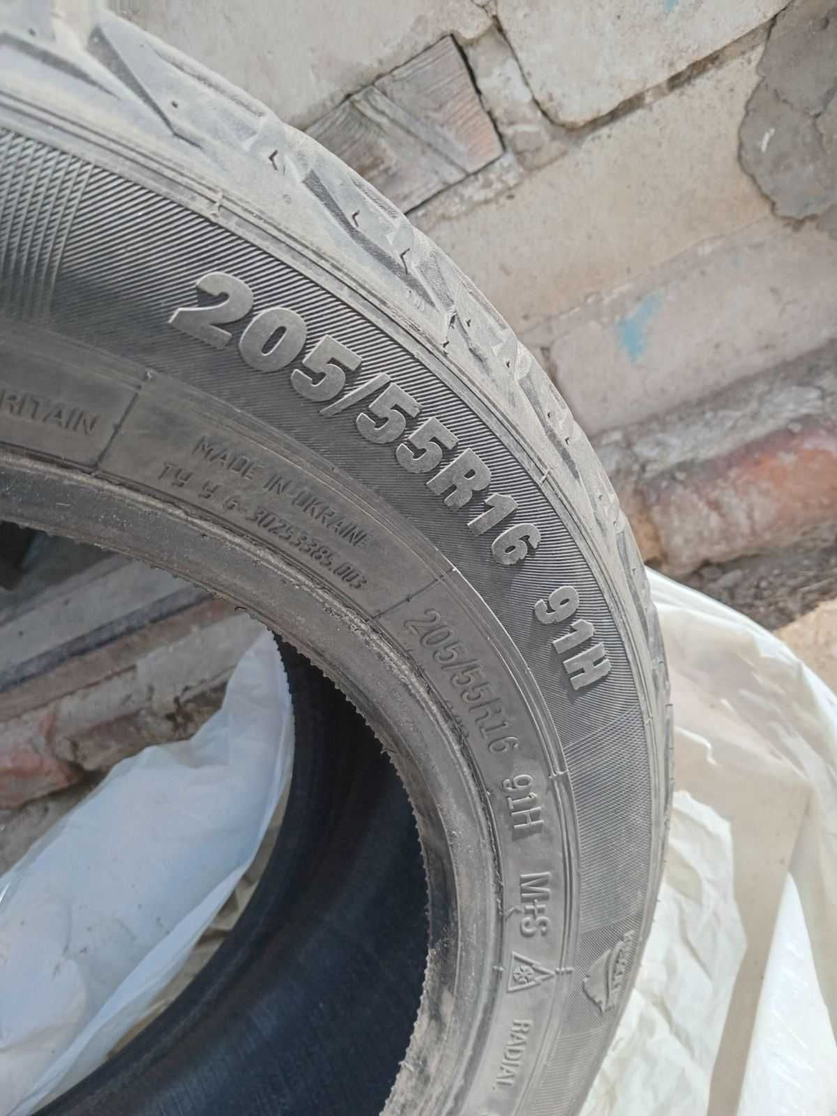 Зимня гума premiorri 205/55 r16 91h