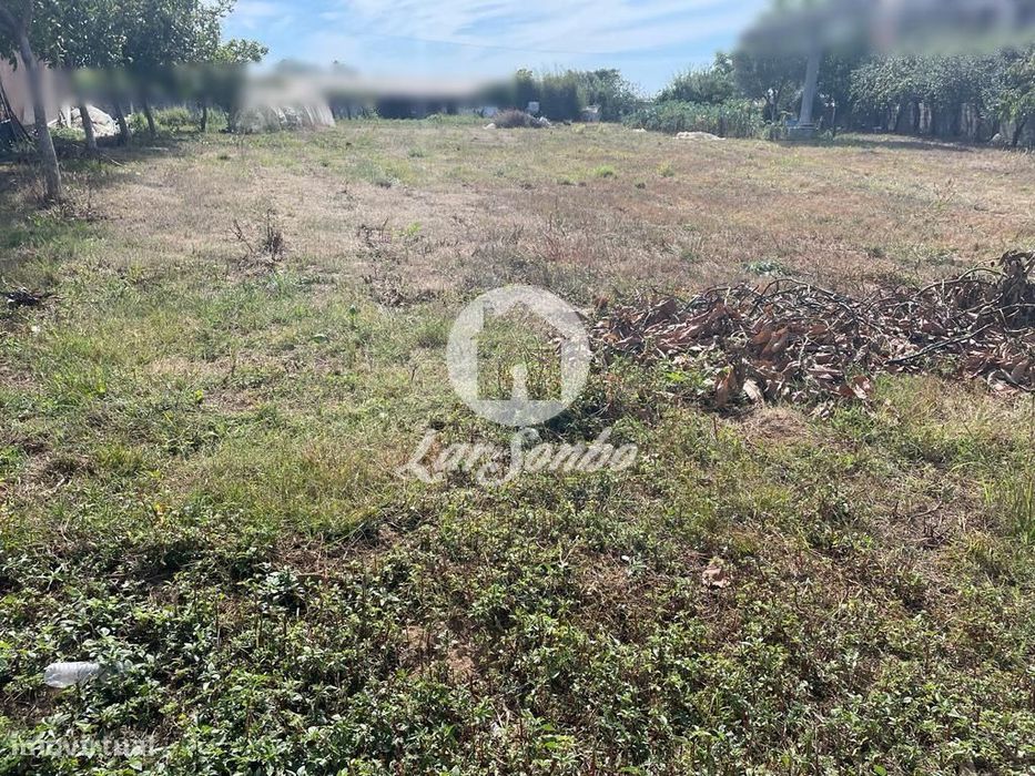 Terreno c/3400m2 para construção de moradias em Apúlia.