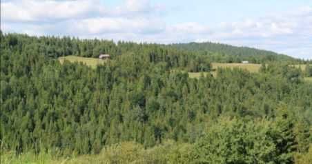 Noclegi Ochotnica Górna