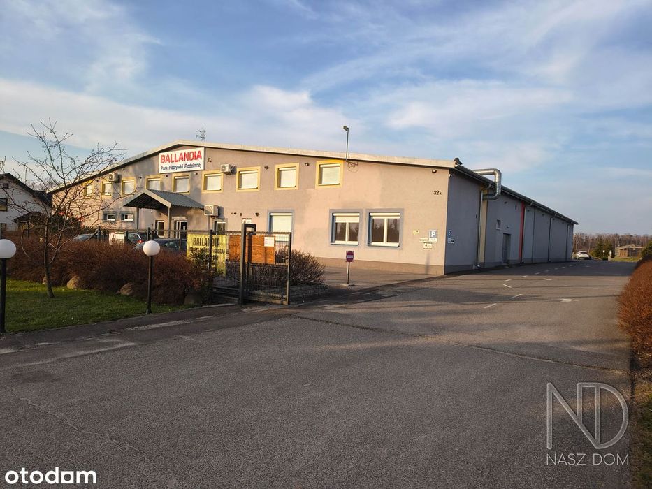 Ballandia Rodzinny Park Rozrywki z ogromnym potencjałem!