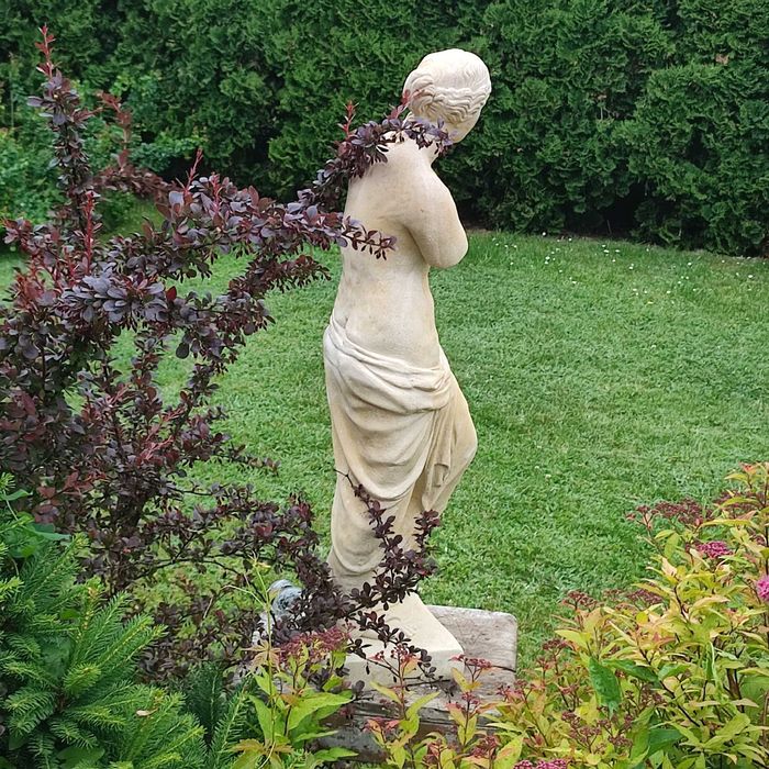 Rzeźba Ogrodowa Wenus