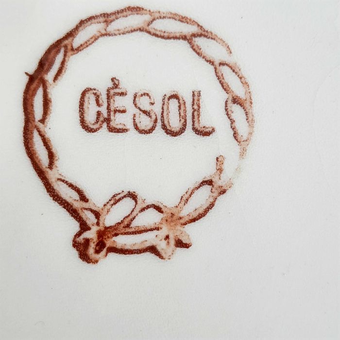 Conjunto vintage de um grande bule de chá e leiteira da Cesol