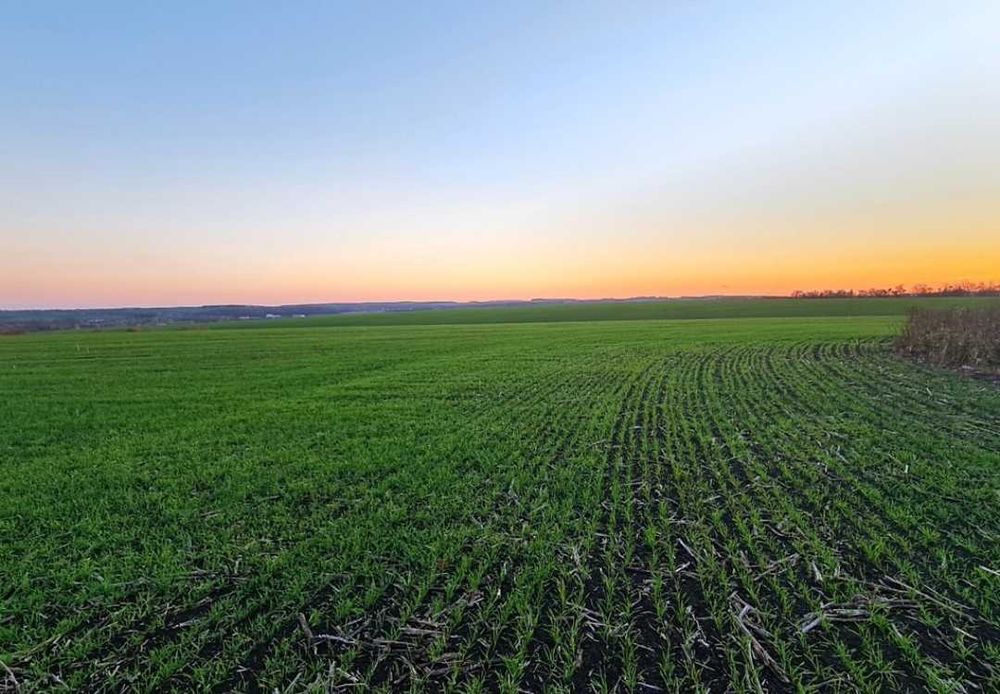 Гарна земельна ділянка розташована при в'їзді в село Ружичанка