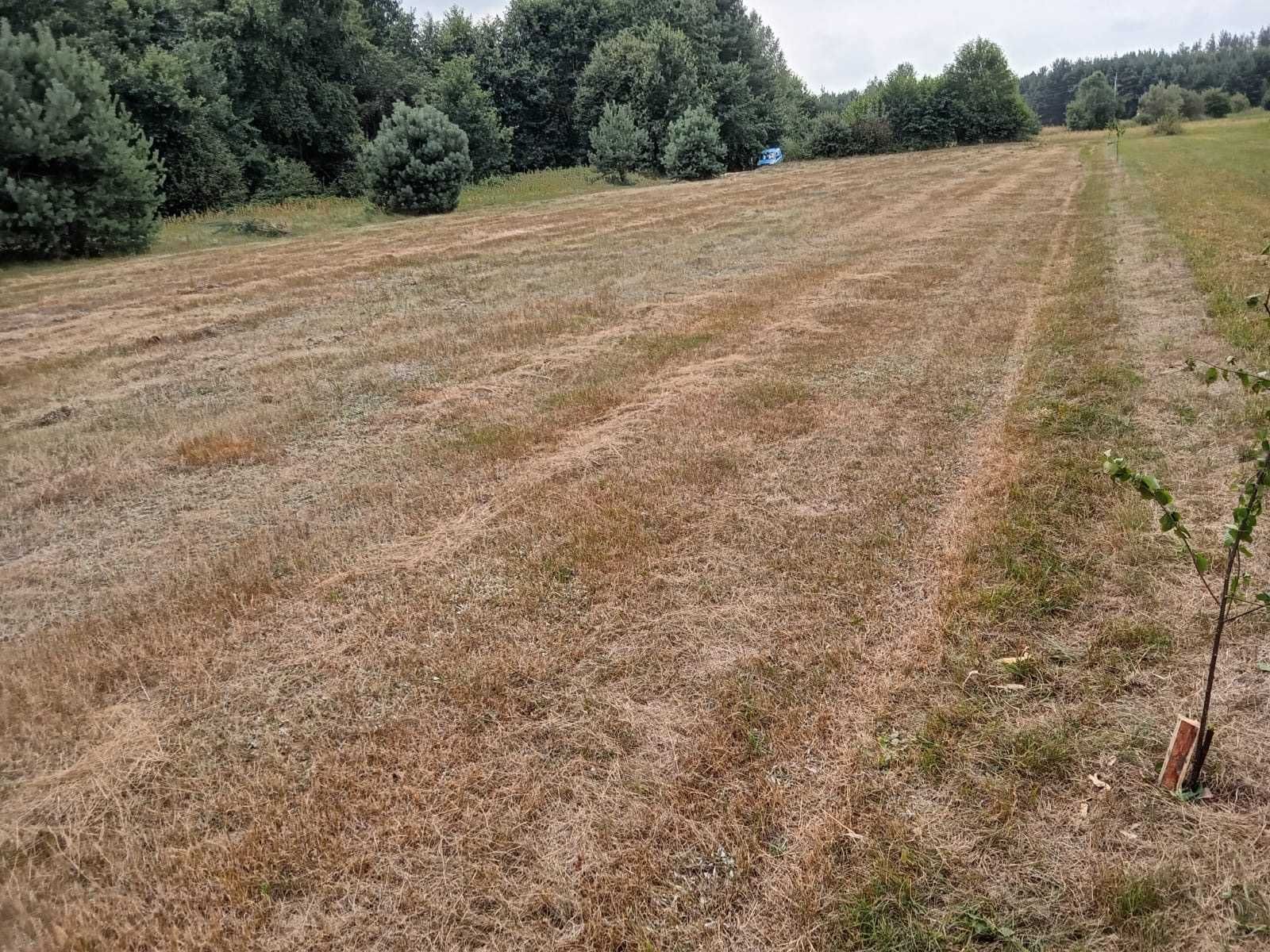 Działka budowlana Chruścice 28-400 Pińczów, świętokrzyskie