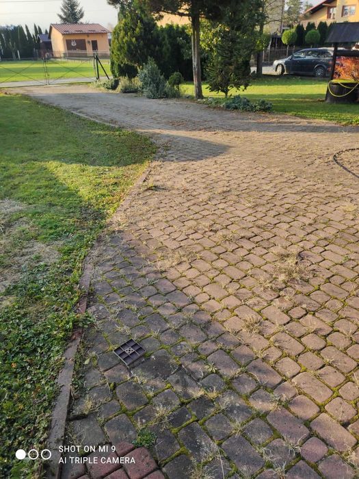 Usługi ogrodnicze, mycie kostki, sprzątanie